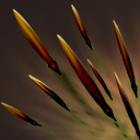 Spellicons bristleback quill spray.png