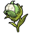 Icon-木棉草.png