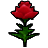 Icon-红色玫瑰.png