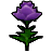 Icon-紫水晶色玫瑰.png