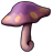 Icon-美丽蘑菇.png