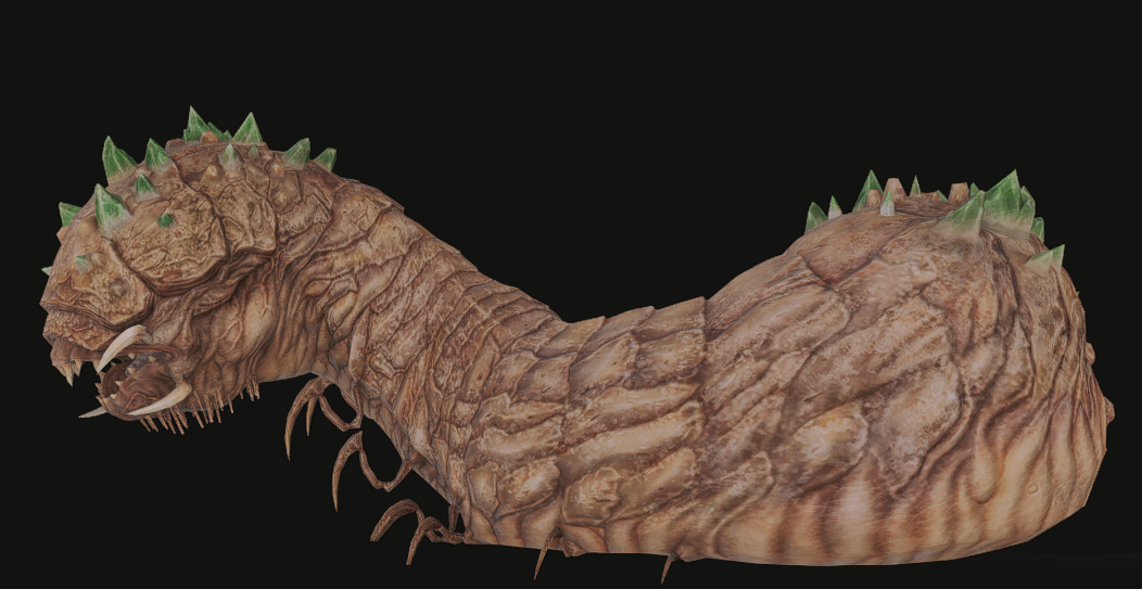 巨型管蠕虫图片