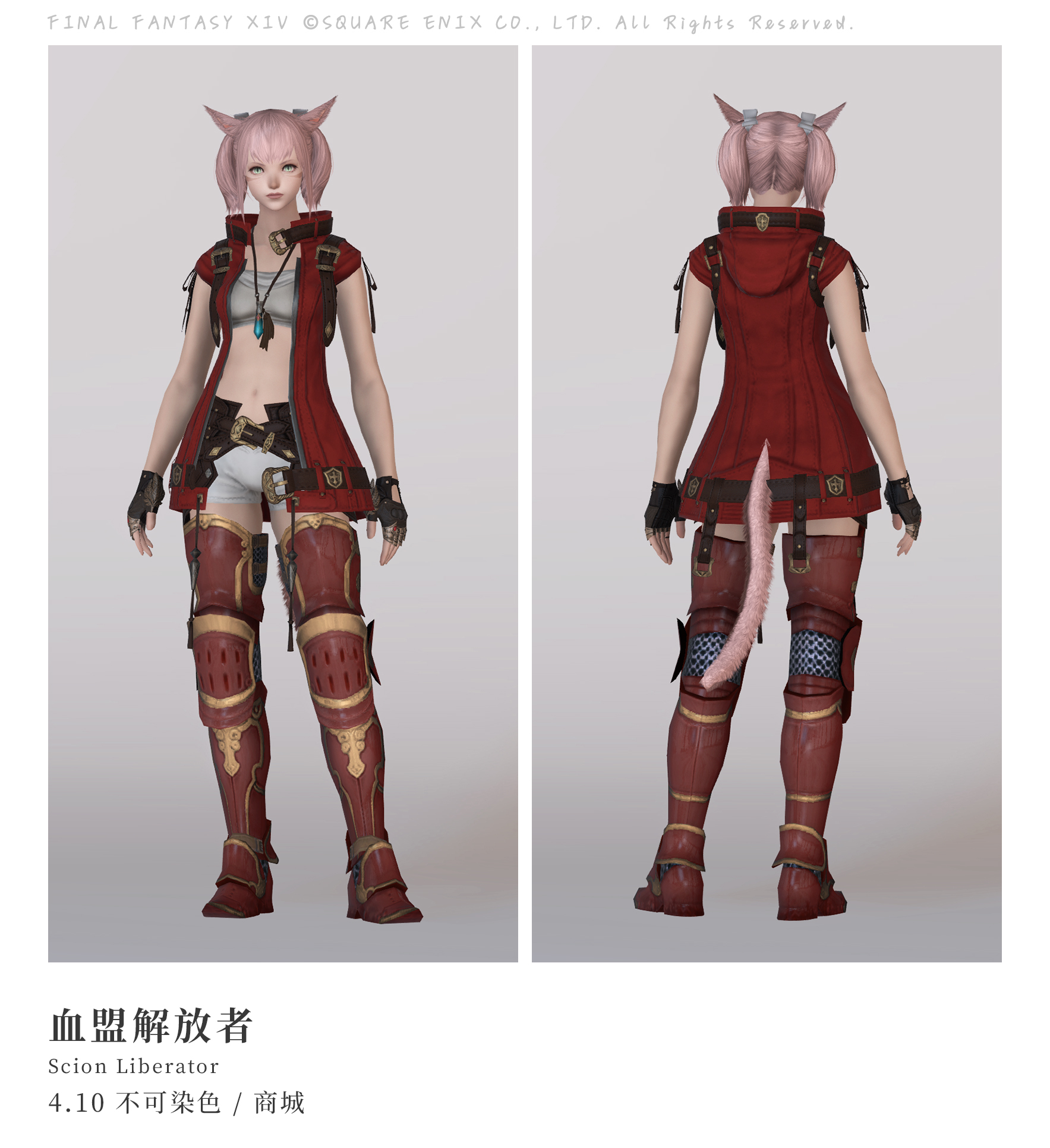 血盟解放者套装 - 最终幻想XIV中文维基 - 灰机wiki - 北京嘉闻杰诺网络科技有限公司