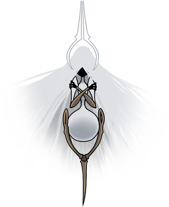 Grand Mother Silk png wiki grand-mother-silk-png-wiki