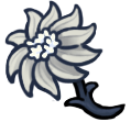 Delicate Flower.png