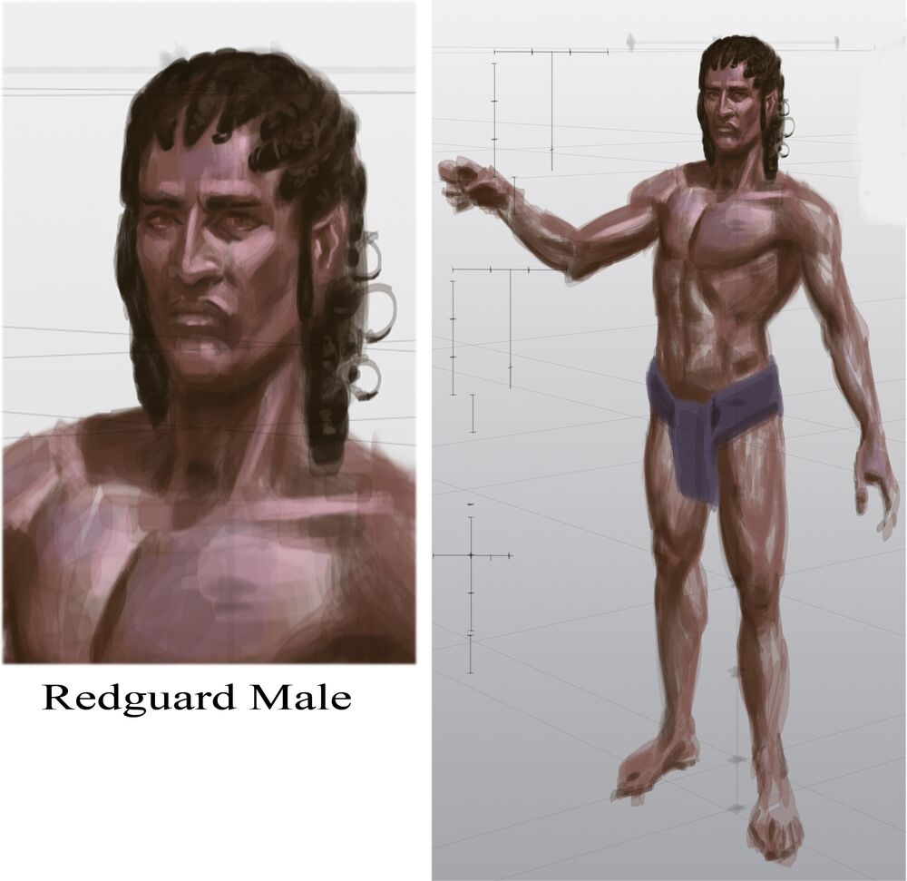 Redguard Statue 文件:Redguard Male.jpg - 上古卷轴 - 灰机wiki - 北京嘉闻杰诺网络科技有限公司