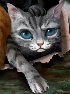 松鸦羽/图集 - 猫武士维基 - 灰机wiki - 北京嘉闻杰诺网络科技有限公司