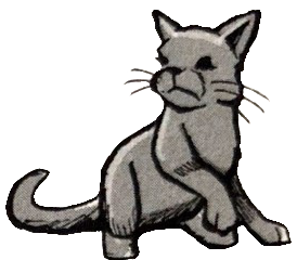 猫武士栗条图片