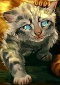 松鸦羽/图集 - 猫武士维基 - 灰机wiki - 北京嘉闻杰诺网络科技有限公司