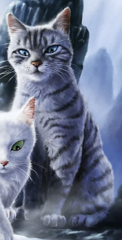 松鸦翅 - 猫武士维基 - 灰机wiki - 北京嘉闻杰诺网络科技有限公司