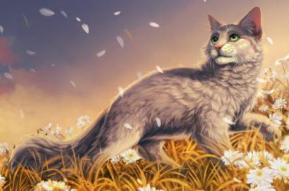 鸽翅- 猫武士维基- 灰机wiki - 北京嘉闻杰诺网络科技有限公司