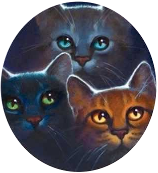 松鸦羽/图集 - 猫武士维基 - 灰机wiki - 北京嘉闻杰诺网络科技有限公司