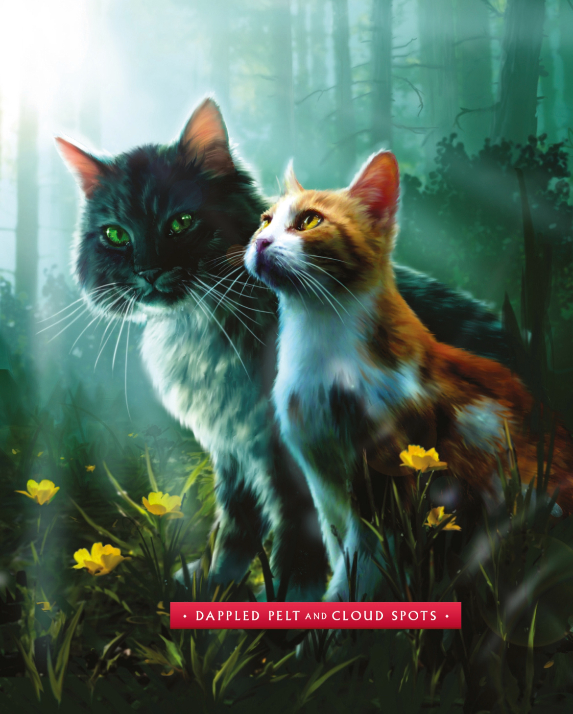 云斑 - 猫武士维基 - 灰机wiki - 北京嘉闻杰诺网络科技有限公司