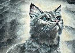松鸦羽/图集 - 猫武士维基 - 灰机wiki - 北京嘉闻杰诺网络科技有限公司